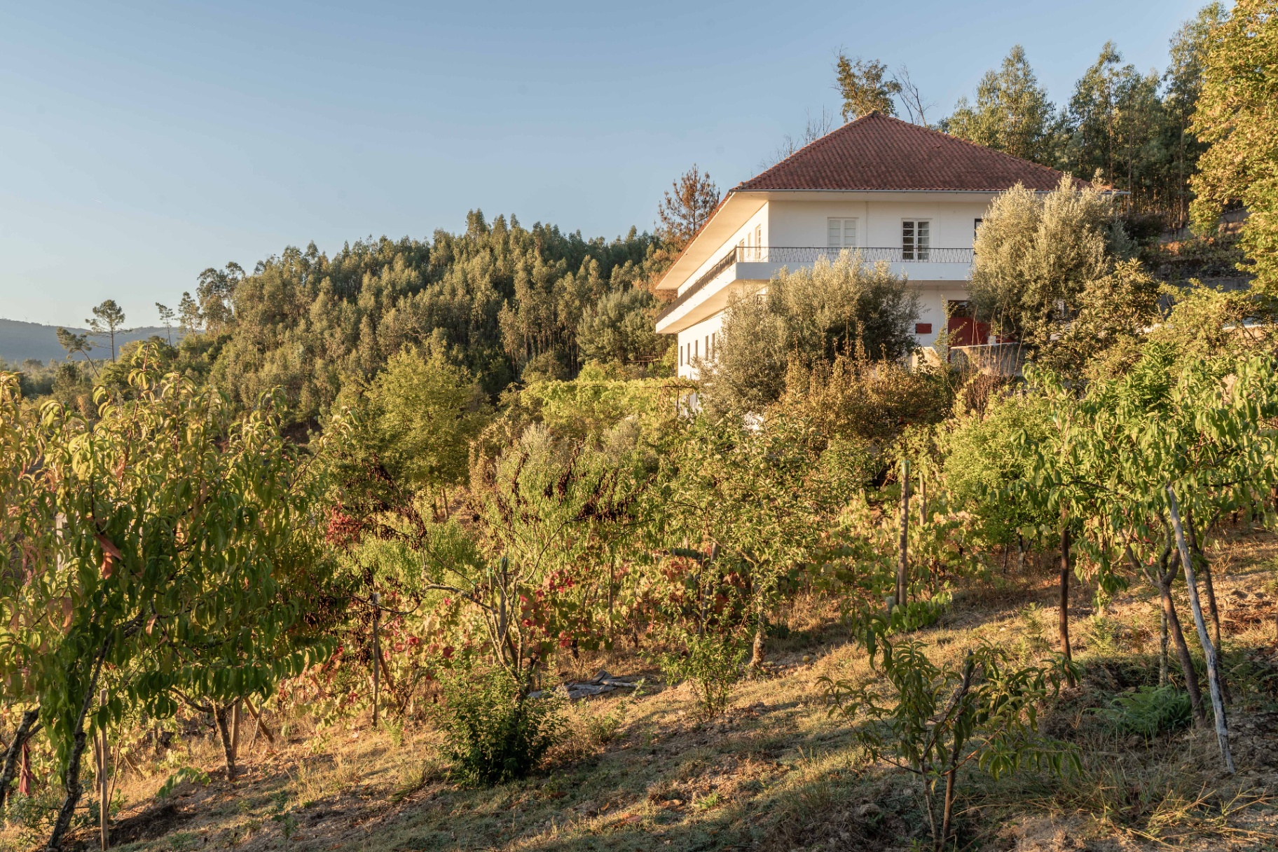 The Bela Colina retreat house