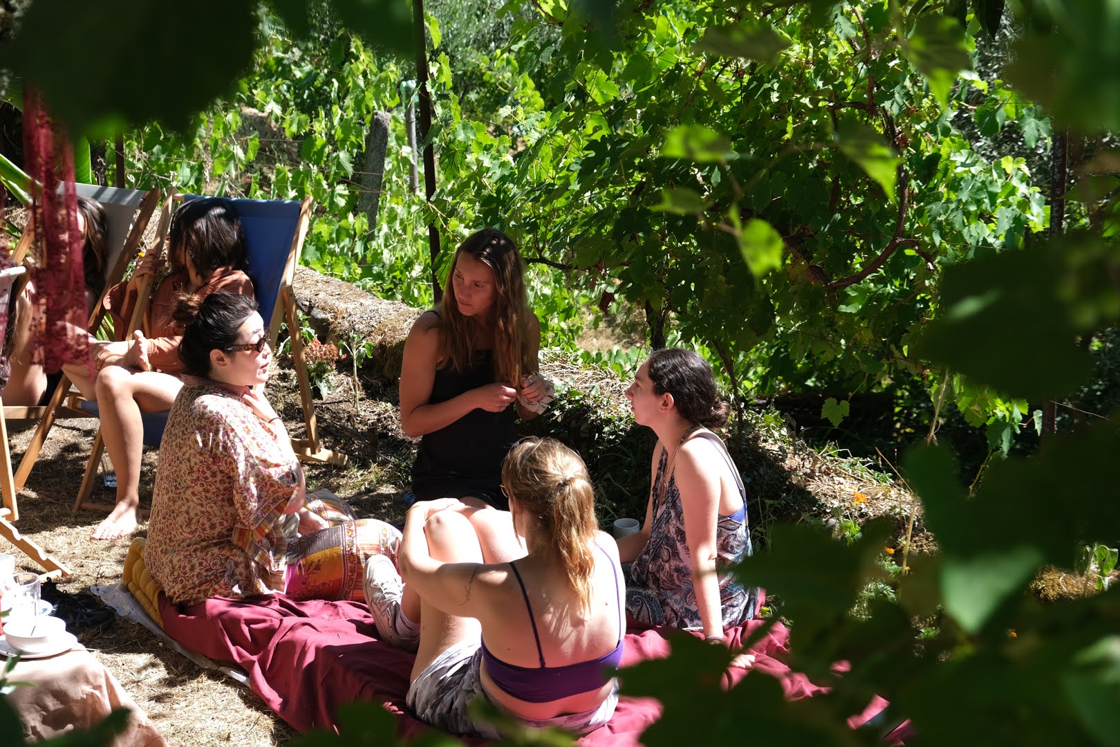 Slow afternoon under the vines in the garden at Bela Colina