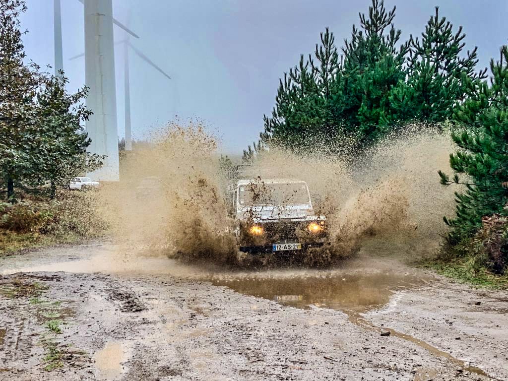 Buggy tour through the forest tracks